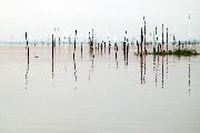 Foto: Cilts sievietes un saldūdens delfīnu meklējumi Borneo